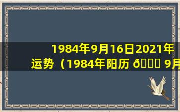 1984年9月16日2021年运势（1984年阳历 🐈 9月16日出生是什么命）